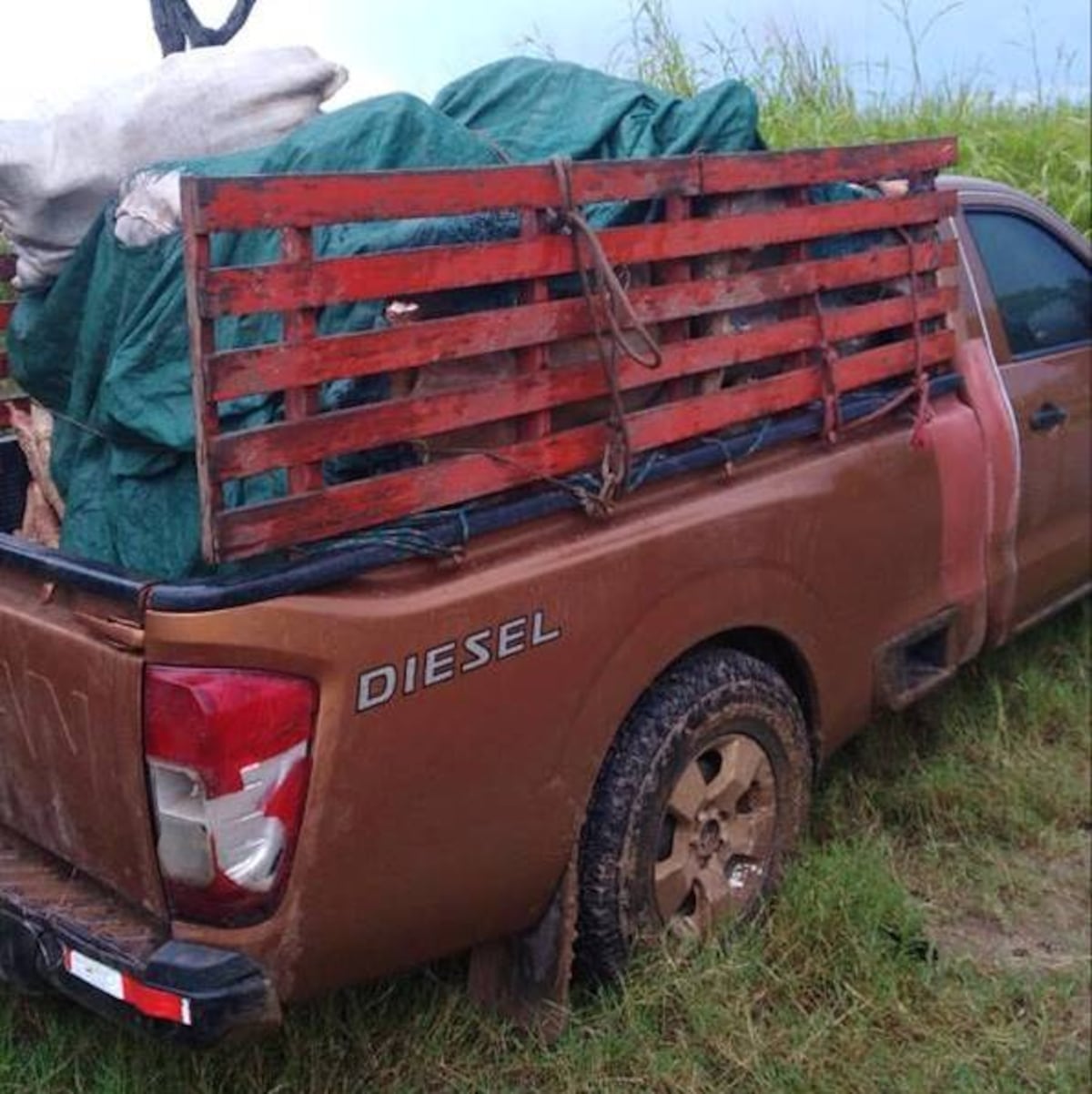 En Ocú la Policía atrapa a banda roba yucas