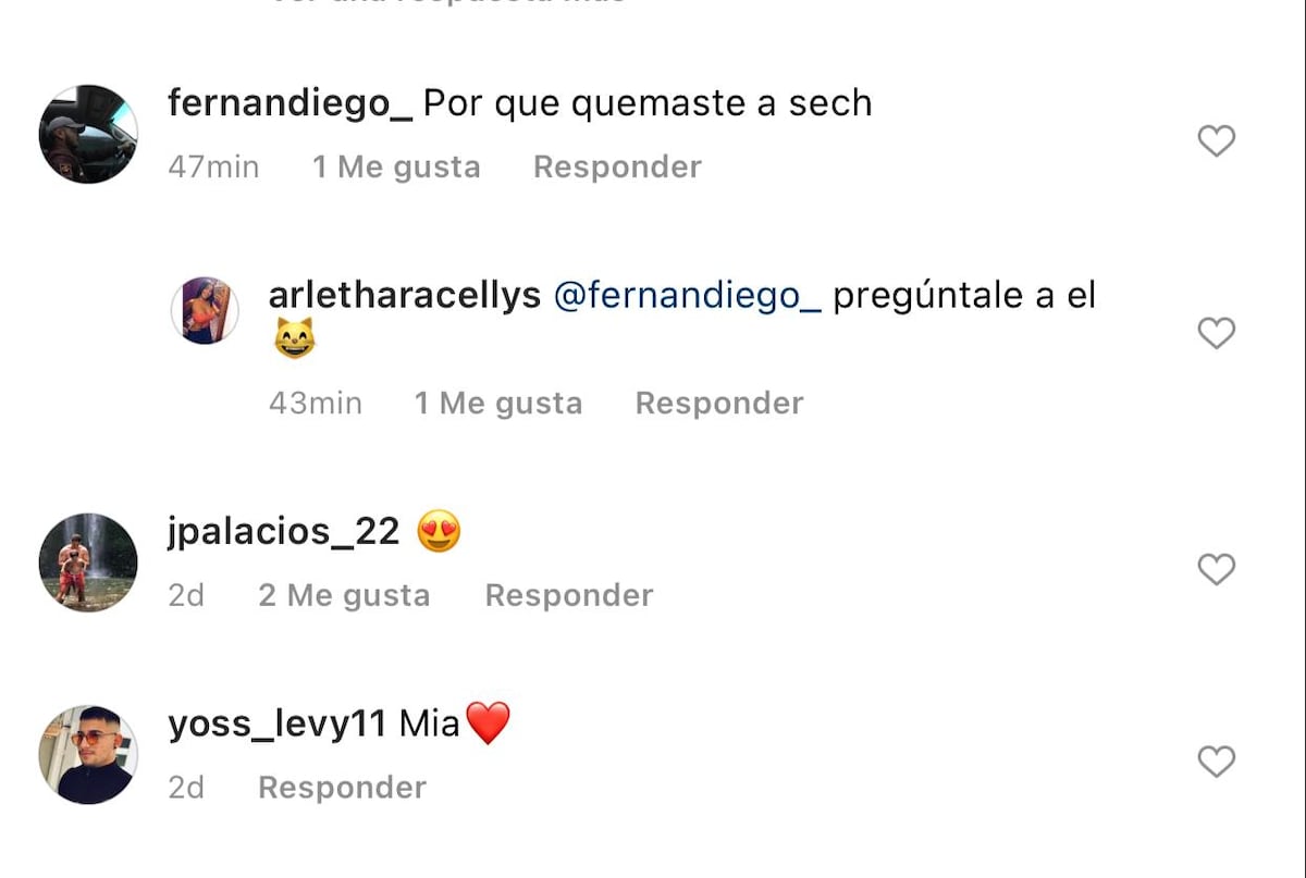 Exnovia le responde. Sech dice que apenas que se dejaron, se pegó en la música 