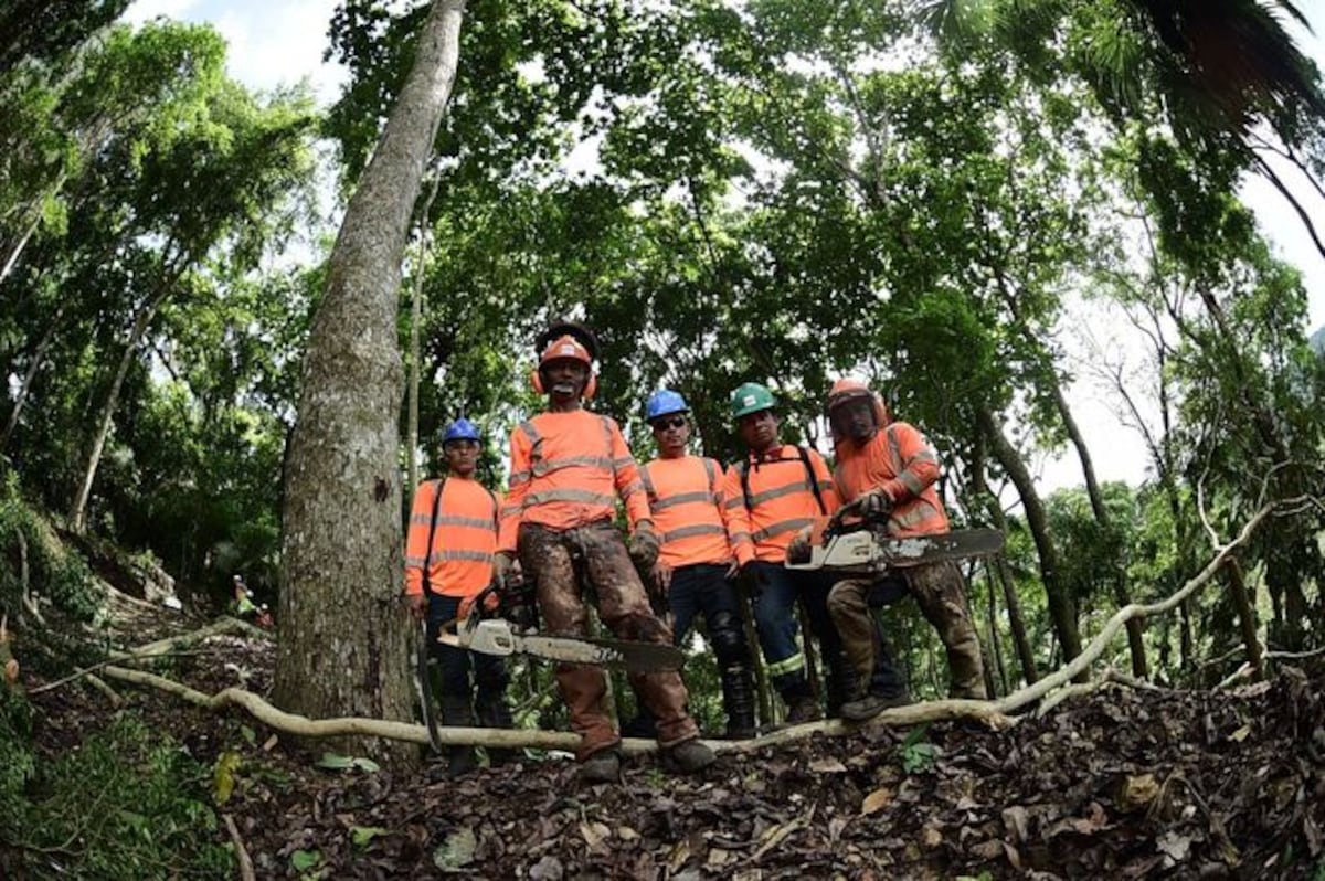 Tranque será historia. Ya arrancó la megaobra de ocho carriles en Panamá Oeste