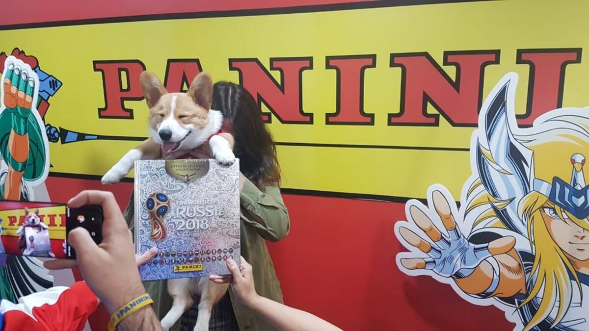 Su perrito le comió su álbum de Panini cuando estaba a punto de completarlo