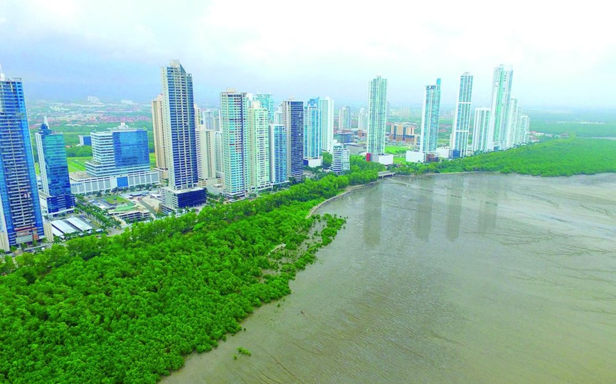 San Martín y Costa del Este, dos realidades en la misma metrópoli