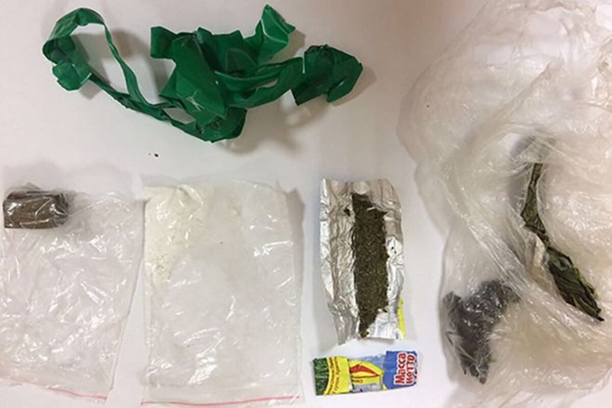 Detienen a un gato 'narco' por introducir drogas a una cárcel (+Fotos)