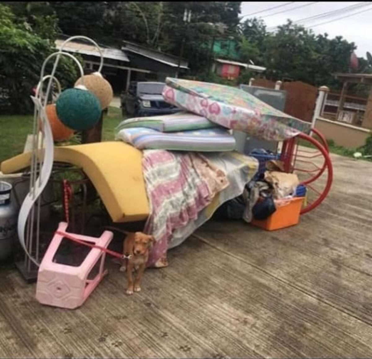 Madre y sus cuatro hijos son desalojados de un cuarto de alquiler. Video