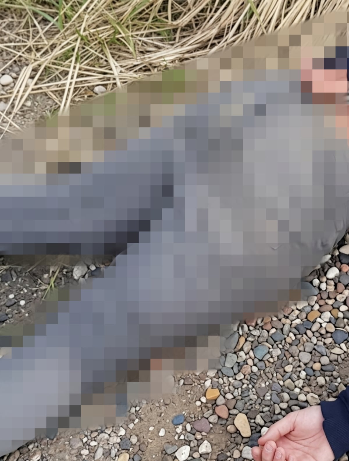 Cuerpo sin identificar aparece en Chivo Chivo y se investiga posible vínculo criminal del ‘Narizón’