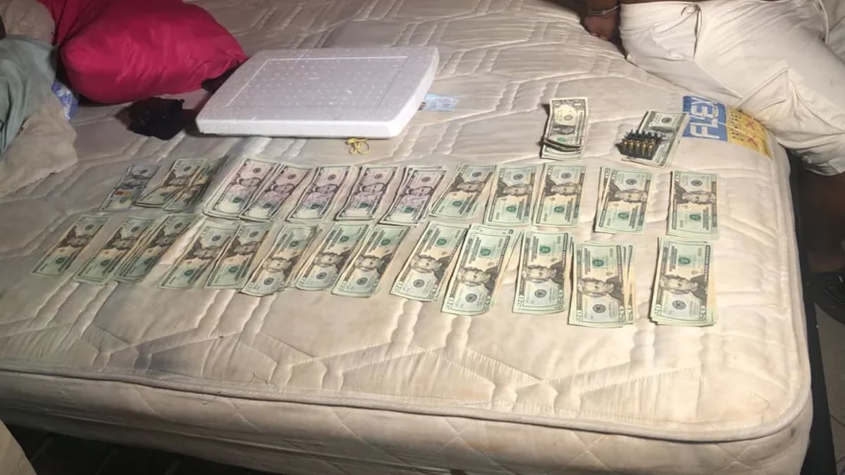 Policía Nacional los captura. Cae cabecilla y tres integrantes de un grupo delictivo dedicado a la estafa de venta y alquiler de autos