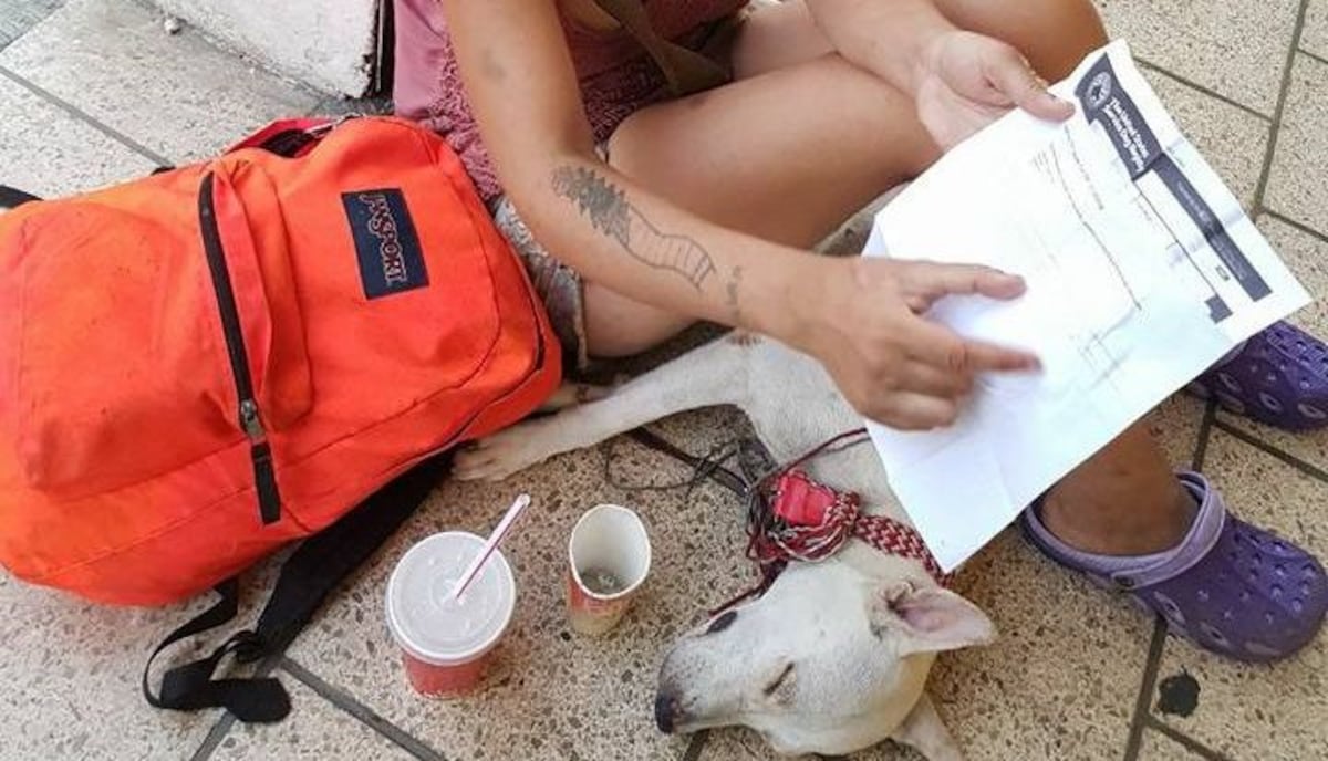 ¡MADRE, SANTA! Tratan de violar a extranjera epiléptica y agreden a su perro