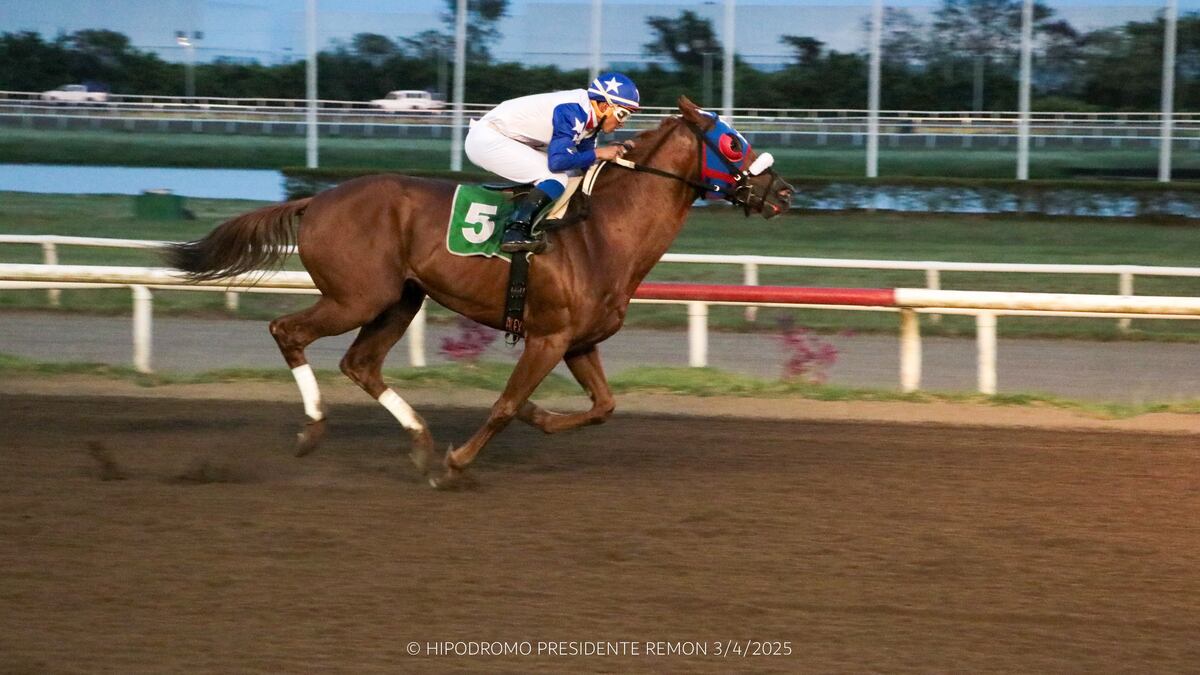 Trece yeguas listas para competir en el premio Policía Nacional en el HPR