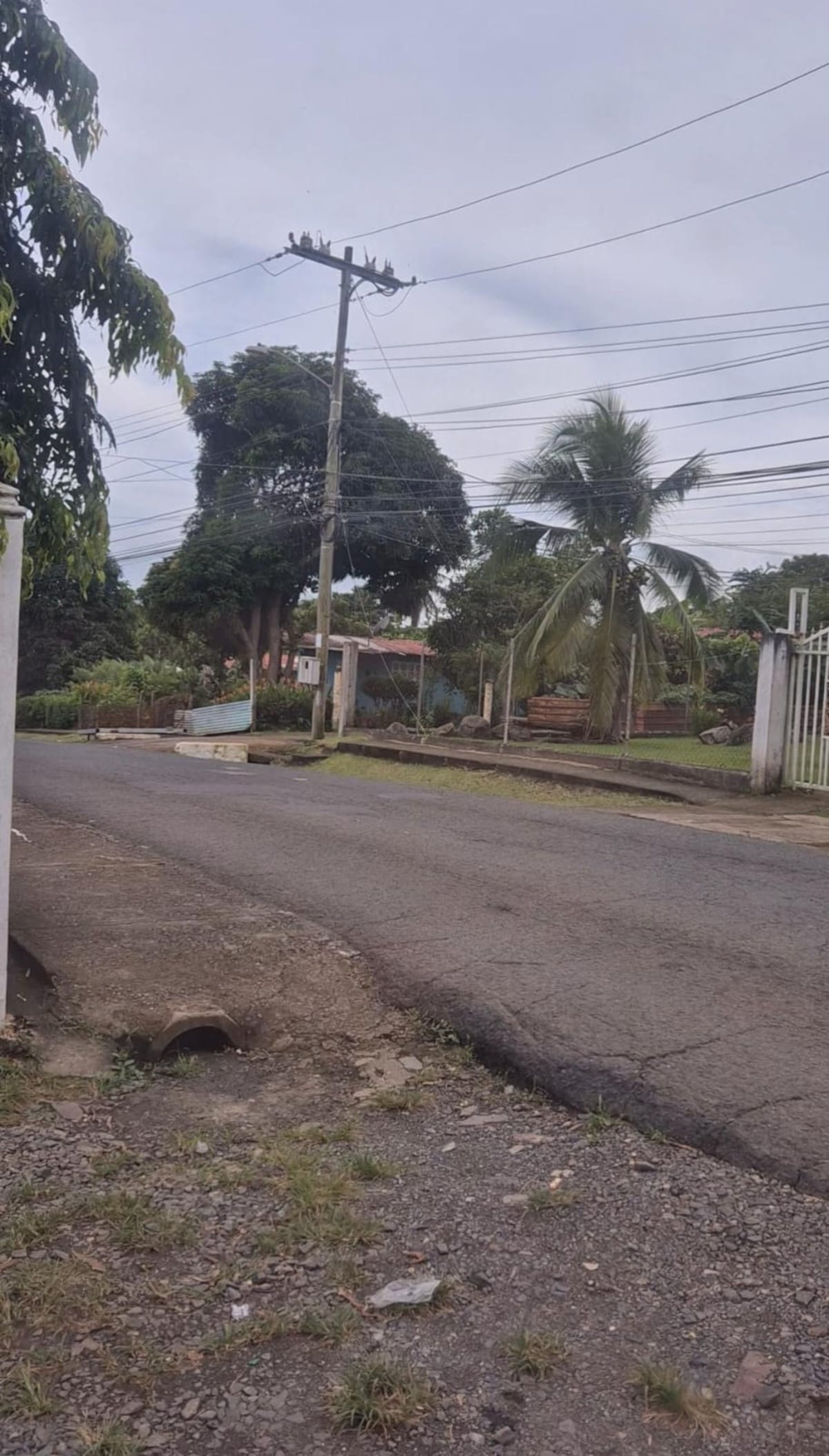 II PARTE: Desde hace dos meses que desapareció su hermano, Ana espera cada noche que Eduardo toque nuevamente su ventana