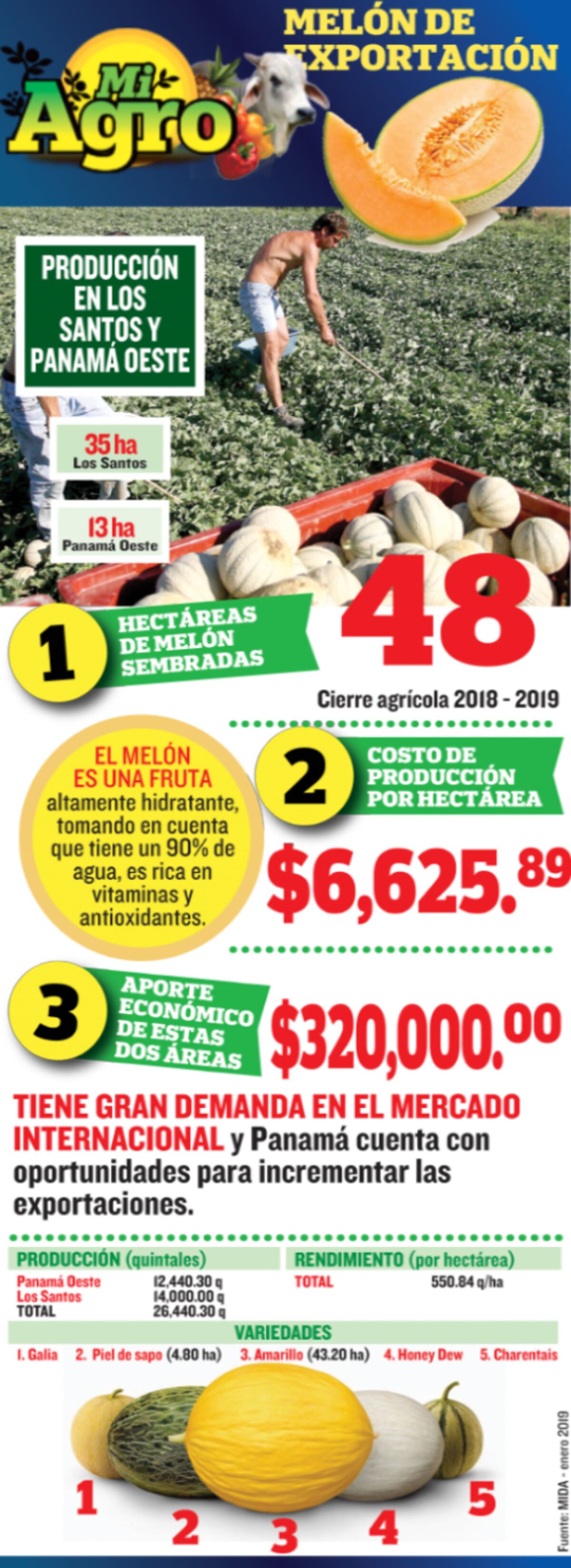 Van para Inglaterra. Santeños posicionan sus melones en el mercado