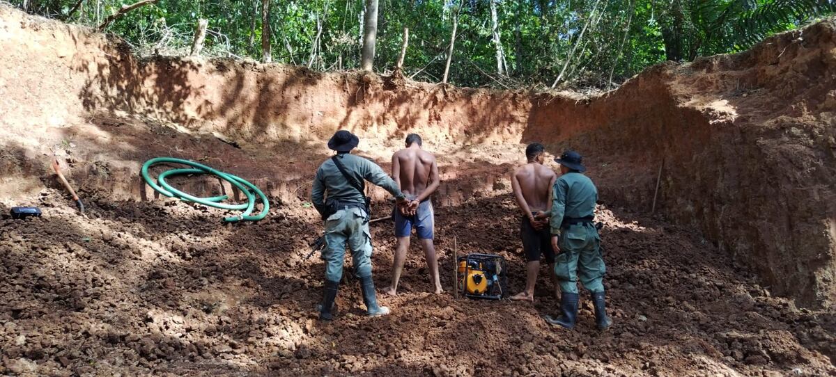Decomisan 45 piezas de árboles talados. Hay 17 aprehendidos con motosierras en mano