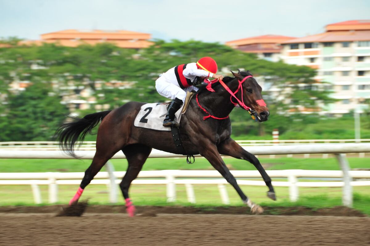 ‘Cyrano’ arrasa en el Clásico Eleta y apunta al Caribe