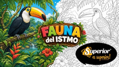 Los tucanes llegan a ‘Fauna del Istmo’: Mi Diario te invita a colorear y aprender sobre estas aves panameñas