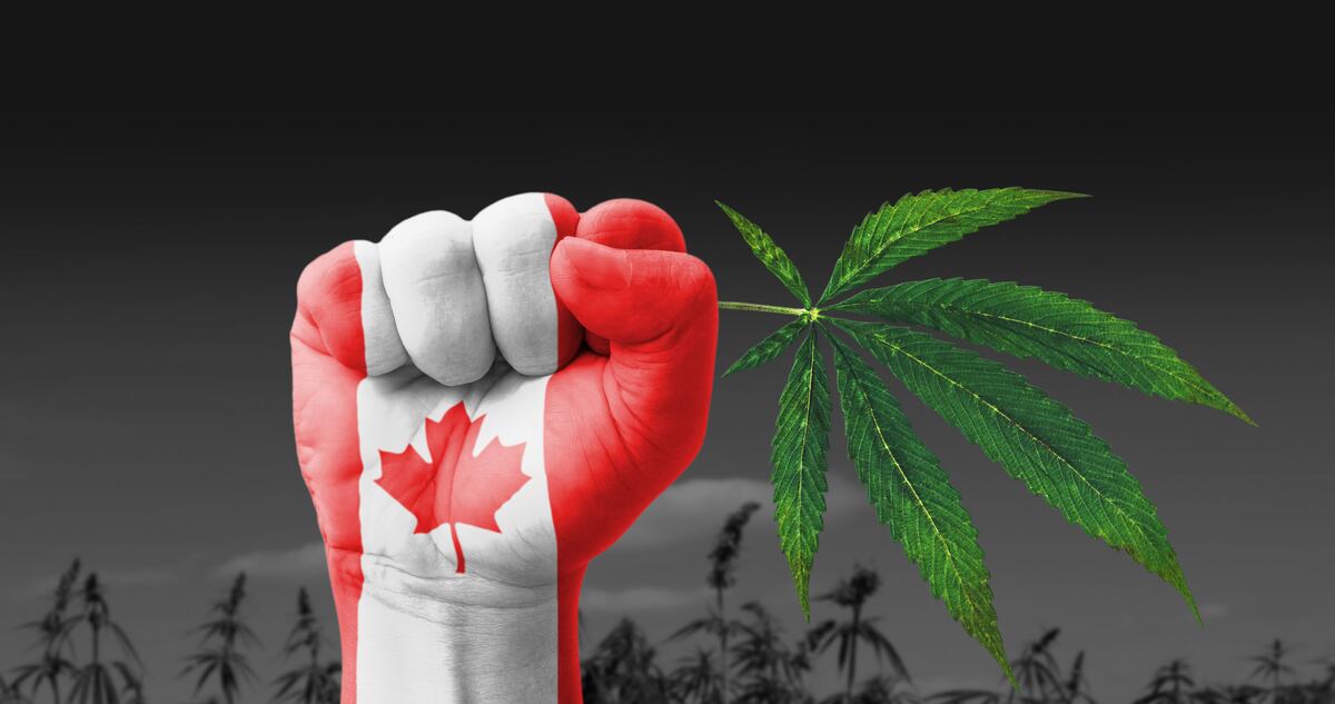 ¡Wao! En Canadá actualmente se consume más marihuana que vino