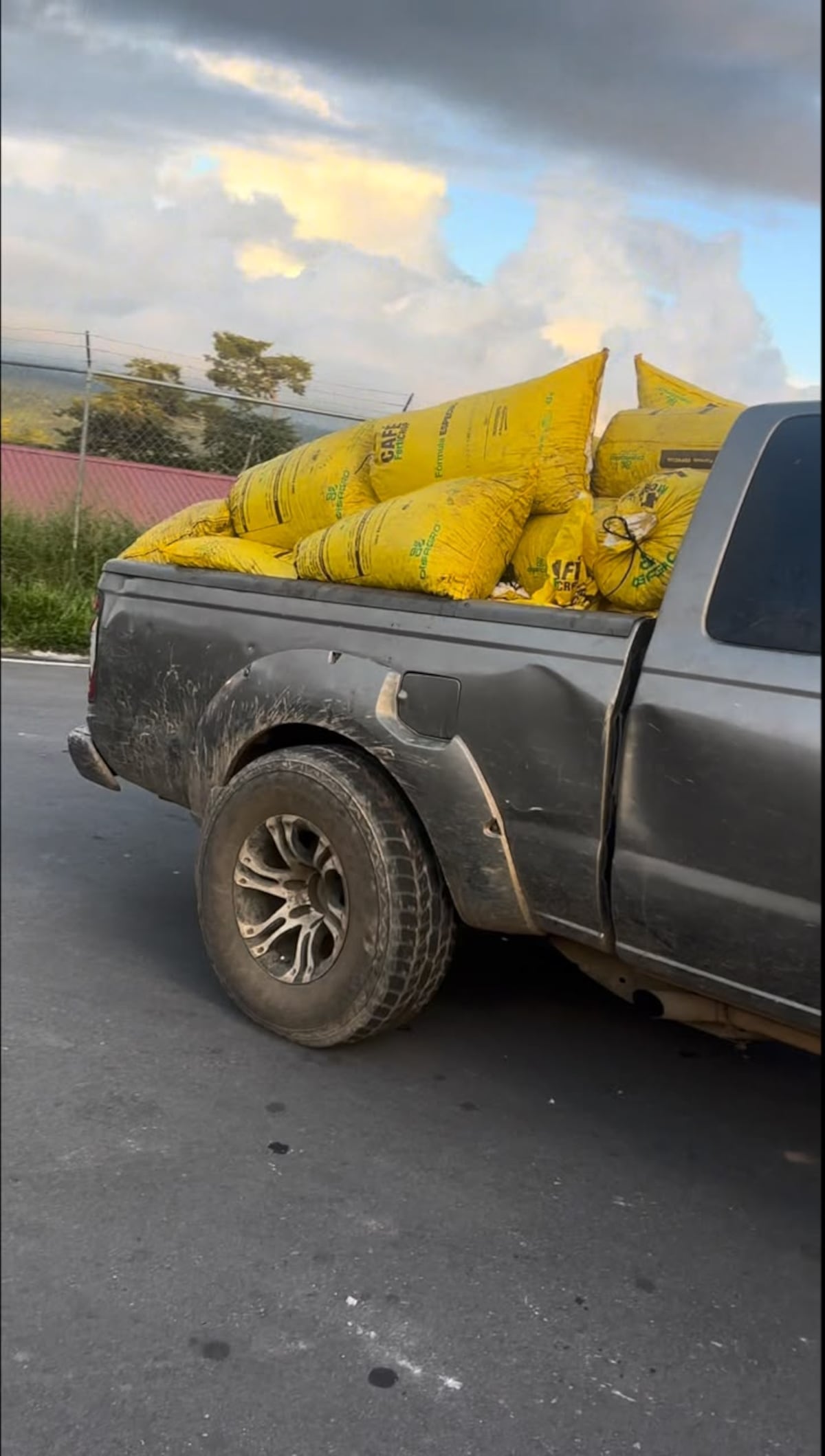 El café no llegó a la taza: Decomisan cerca de 33 sacos por presunto contrabando en Chiriquí + VÍDEO