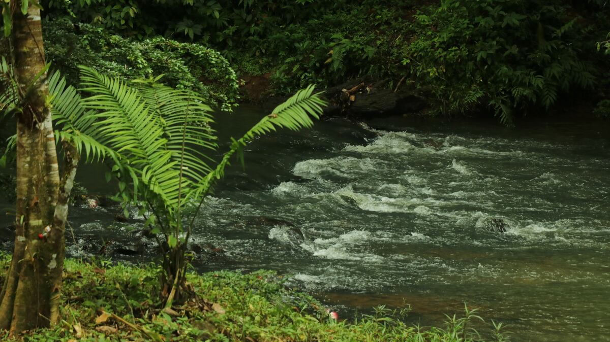 Fuerza del río arrastra a estudiantes en la comarca Ngäbe Buglé: una sigue desaparecida