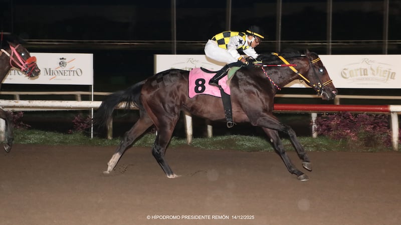 Potro ‘Booz Baruc’ hace historia: gana la Triple Corona juvenil de importados