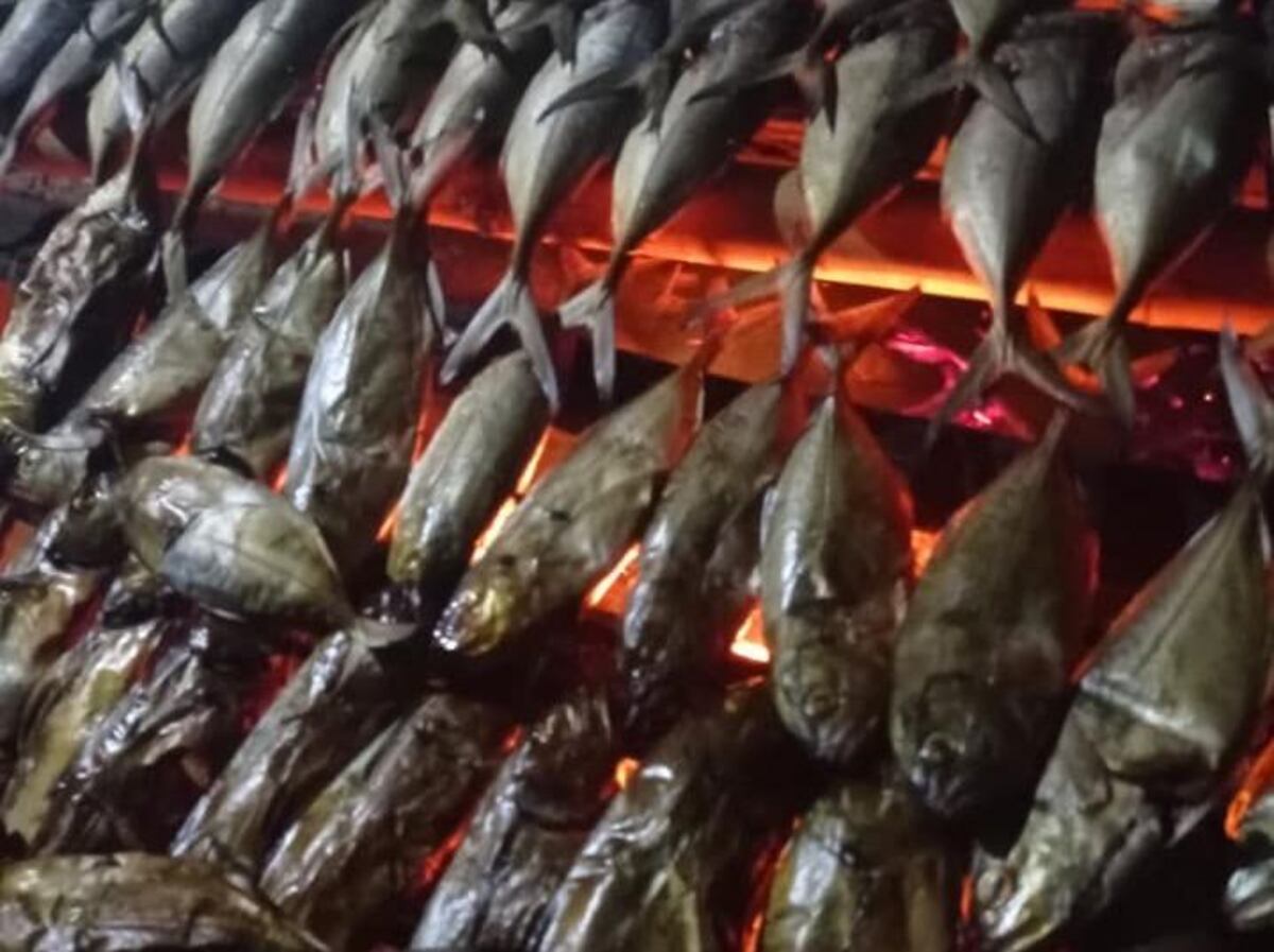 Solidaridad: Gunas donan 5 mil pescados a dos pueblos con covid