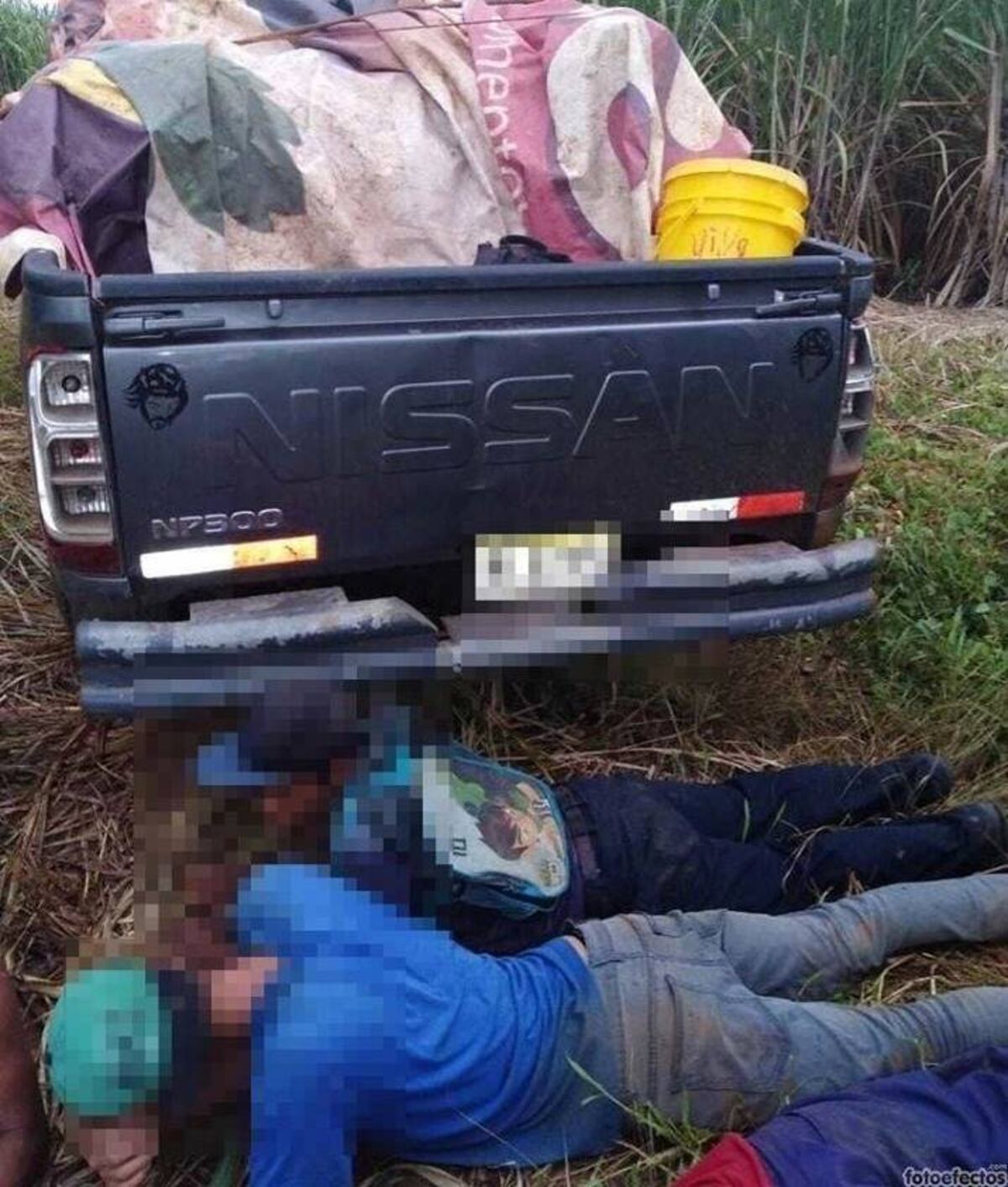 En Ocú la Policía atrapa a banda roba yucas