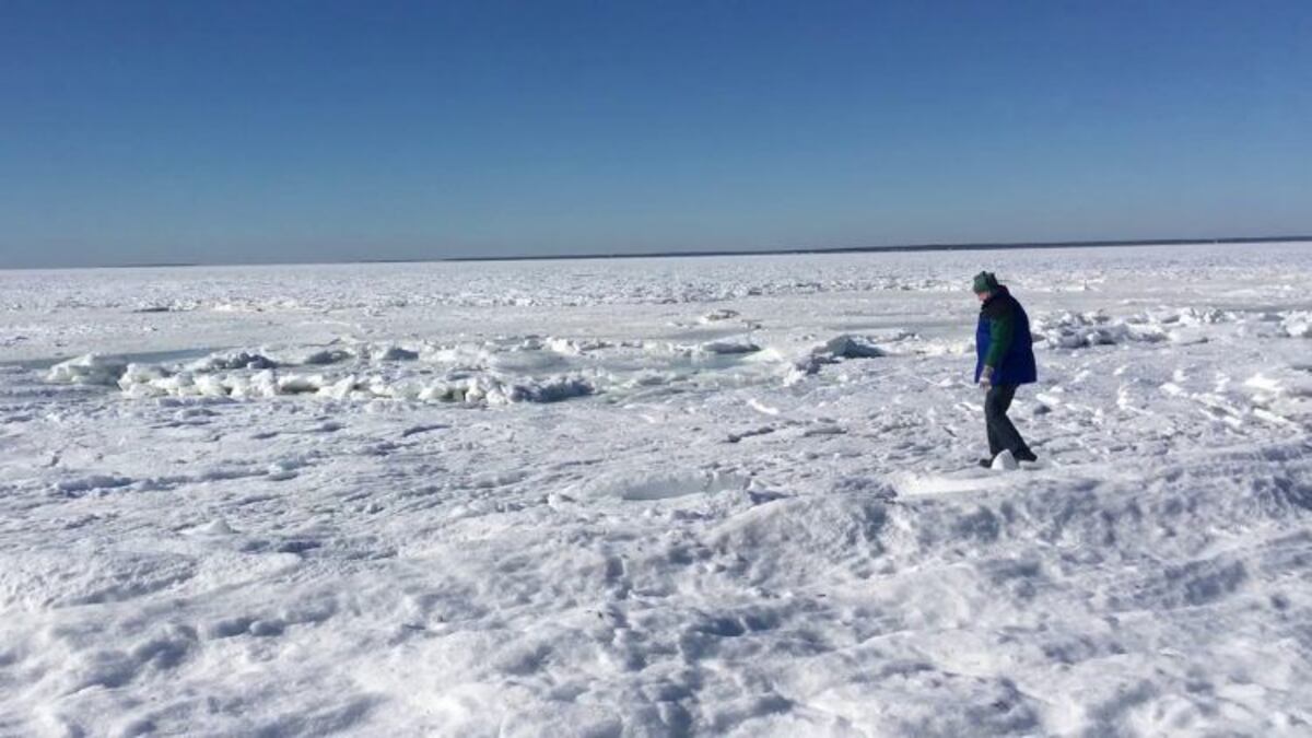 ¡IMPRESIONANTE! El océano Atlántico se congeló