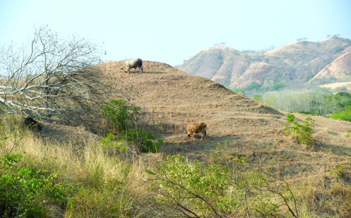 El río Canajagua se seca de forma rápida
