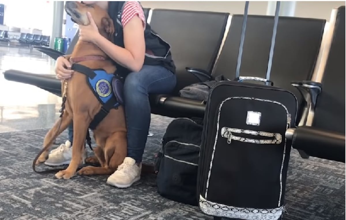 Joven entró en pánico, pero su perrito la tranquilizó (Video)