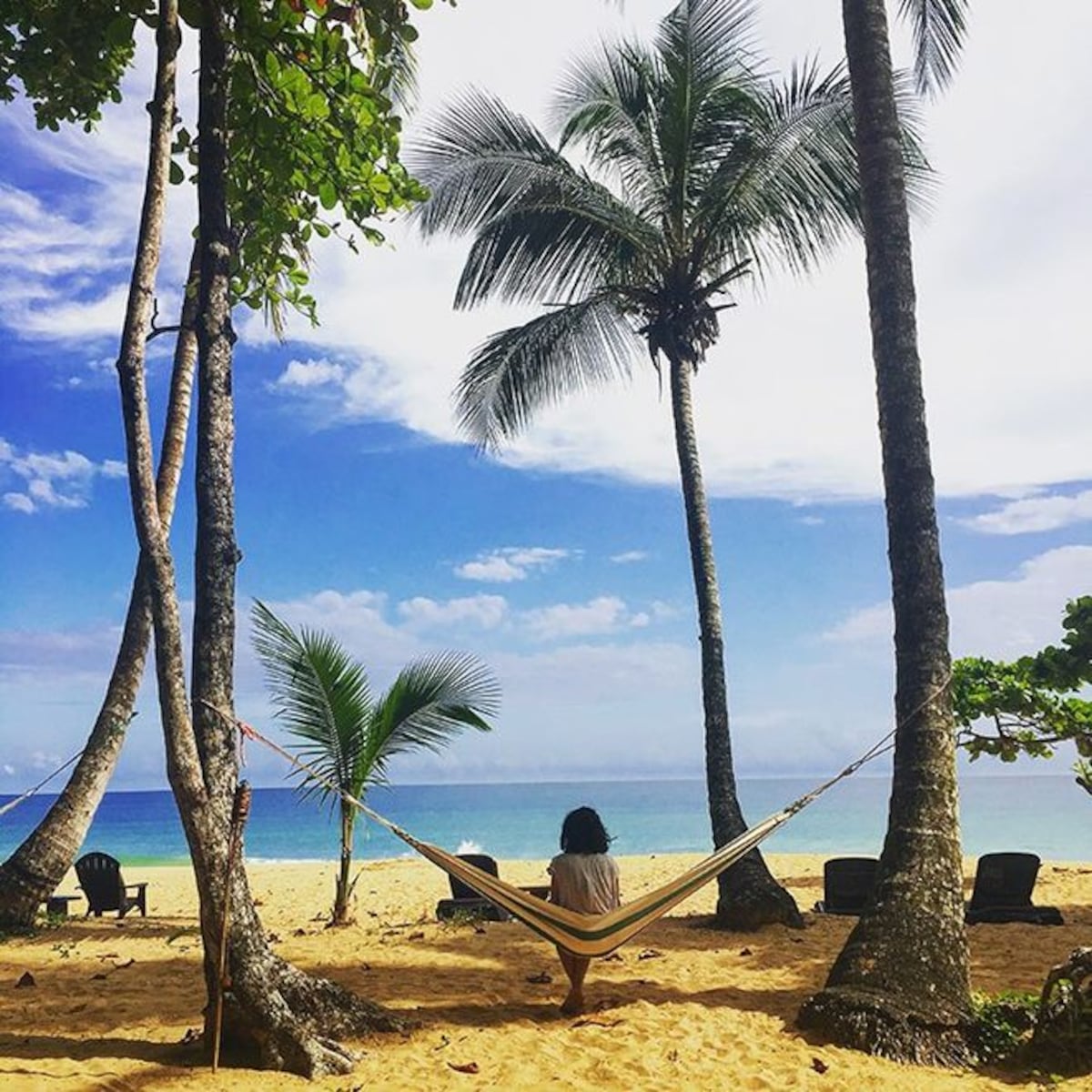 ¡HORROR! Venezolano viola a una alemana en Bocas de Toro. Tenemos los detalles