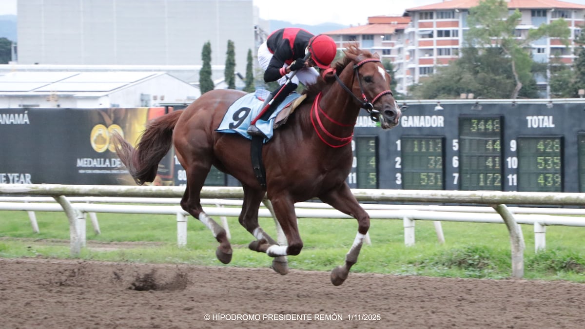 Un triunfo categórico y con clase: ‘Takao’ se impone en el Clásico “Independencia”