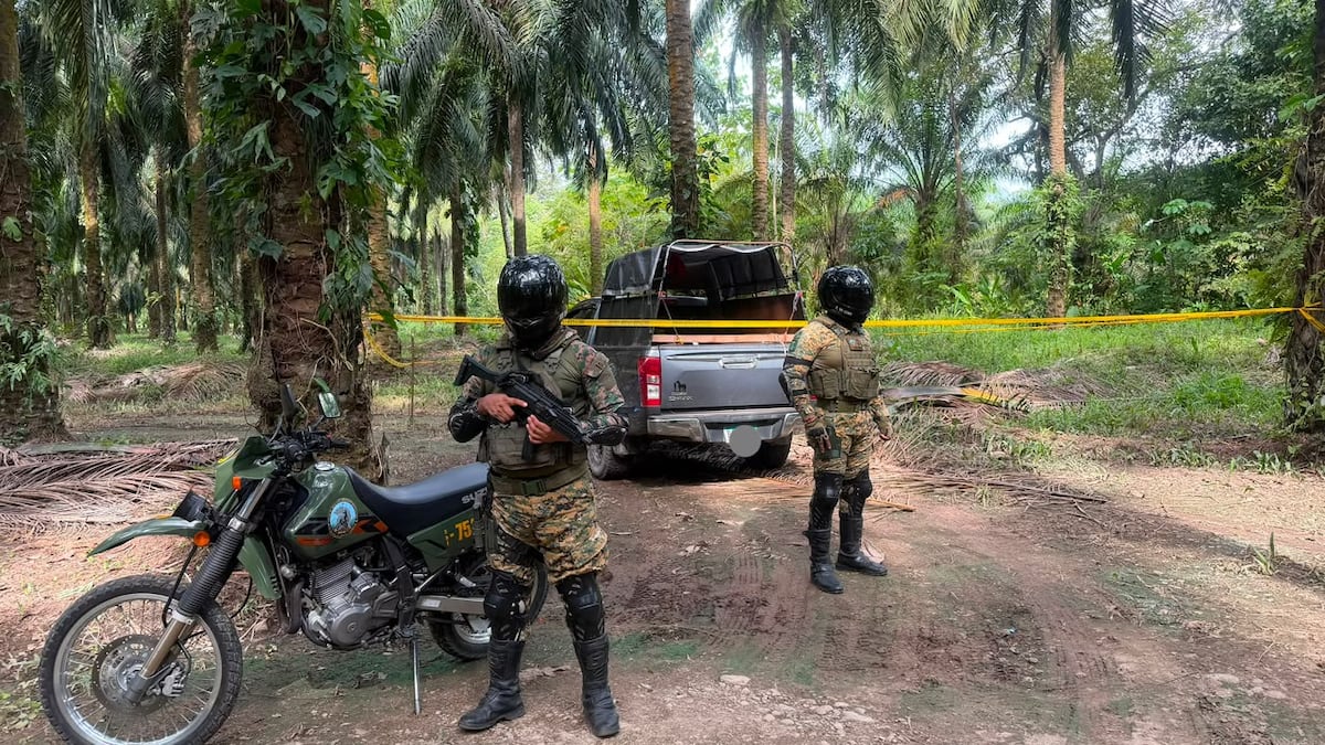 Hallan en una plantación de palma un pick-up presuntamente robado en Chiriquí
