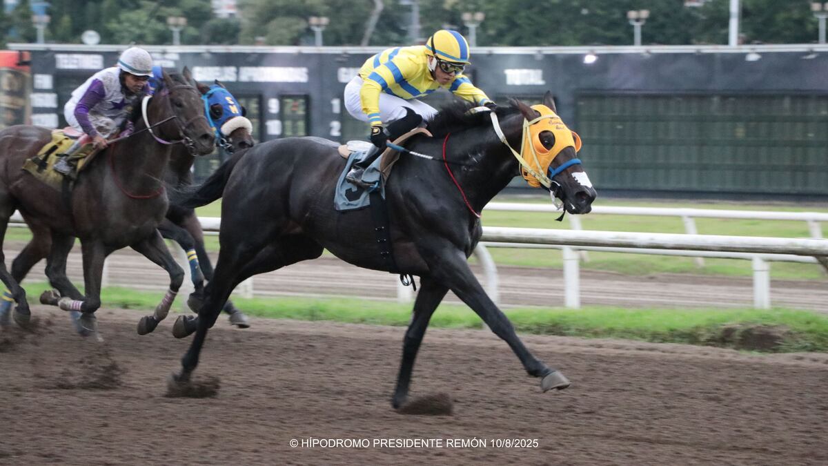 First Front vuela en los 300 finales y gana el ‘Virgilio y Omar Castillo’