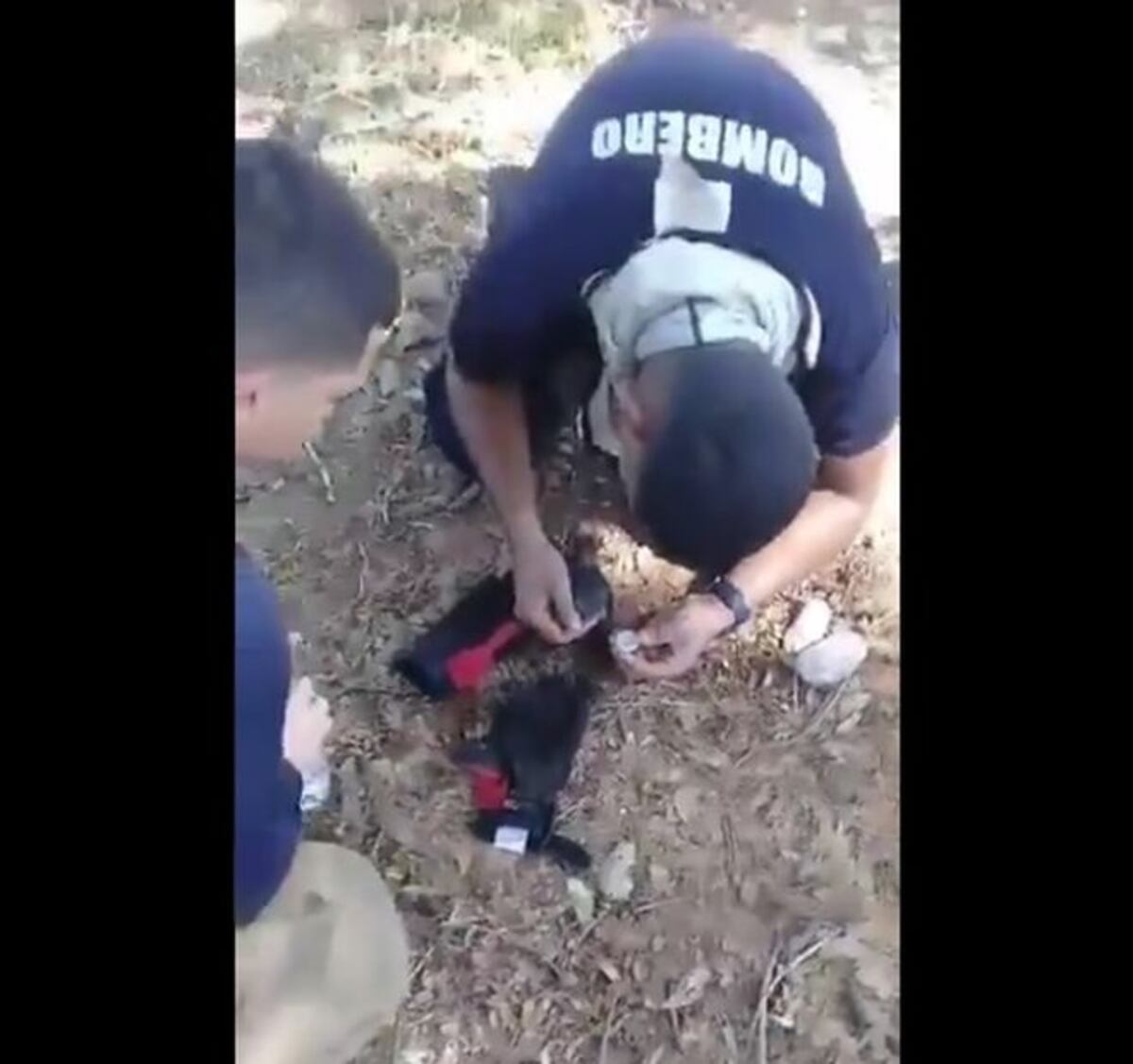 Bomberos rescatan dos cachorros de incendio en herbazal y revolucionan las redes