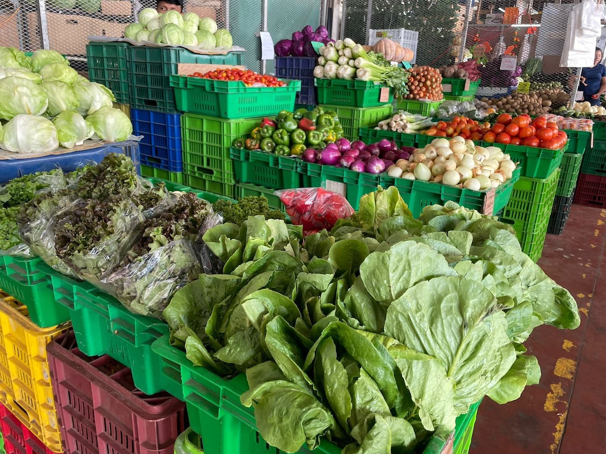 Oferta en Merca Panamá: papa, cebolla y tomate mantienen precios asequibles para consumidores