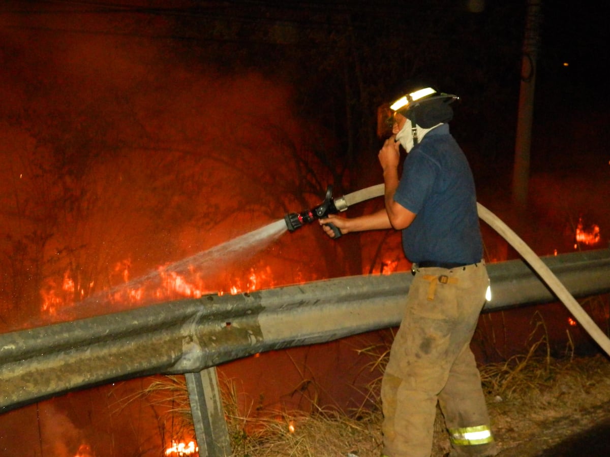 Ataques de abejas es la emergencia más atendida por bomberos