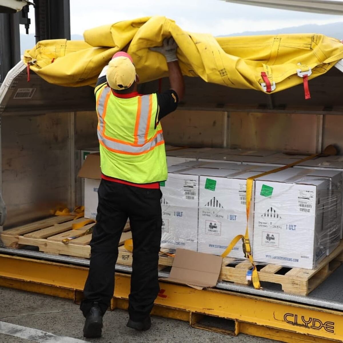 Llega a Panamá nuevo lote de vacunas de Pfizer con 109 mil 980 dosis