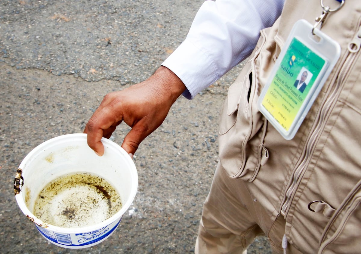 Aumentan los casos de dengue y malaria en Panamá: 1.093 dengue y 99 malaria en una semana