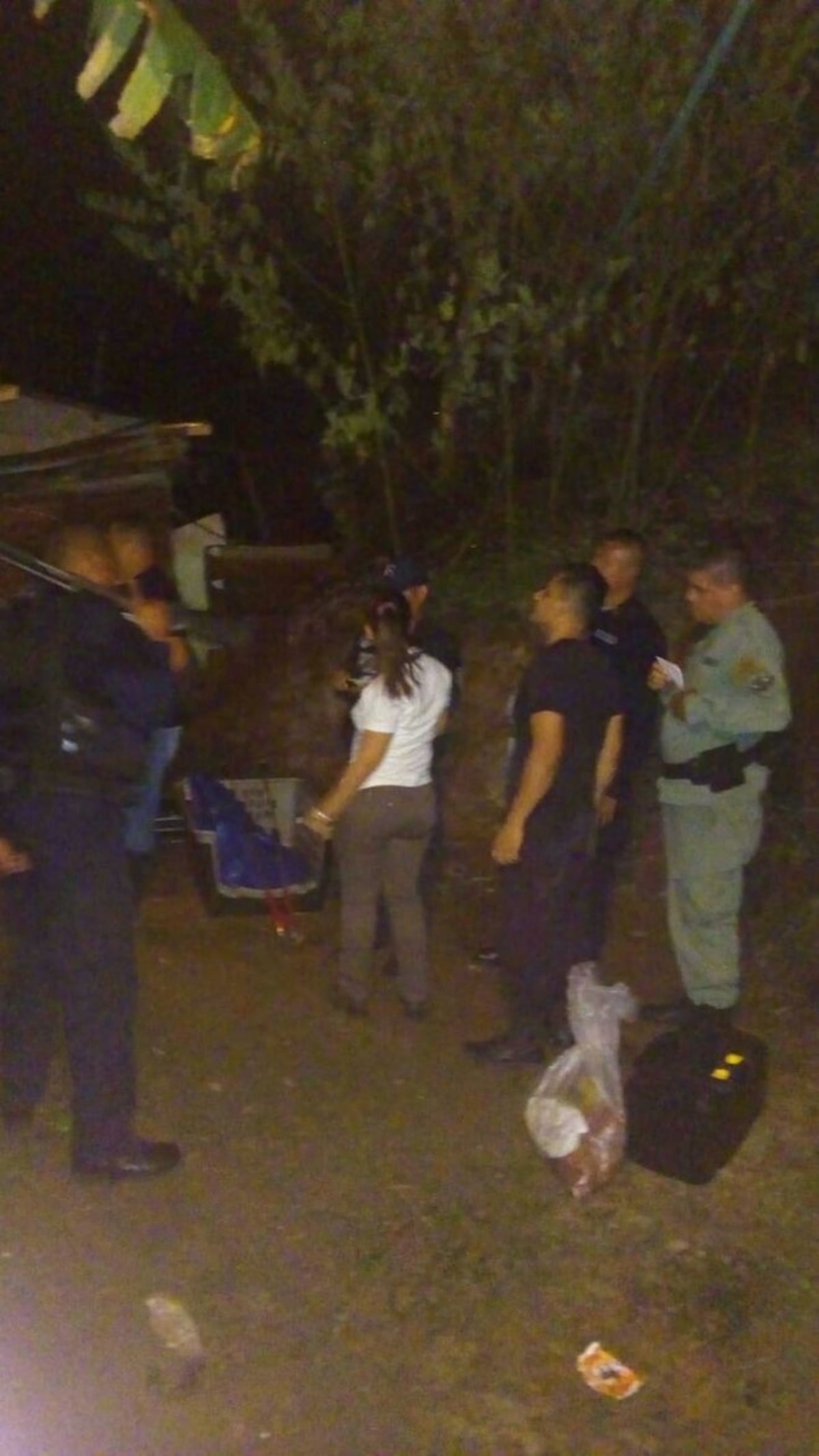 ¡Ay, madre! Puma se metió en residencia en Alcalde Díaz. Autoridades lo rescatan