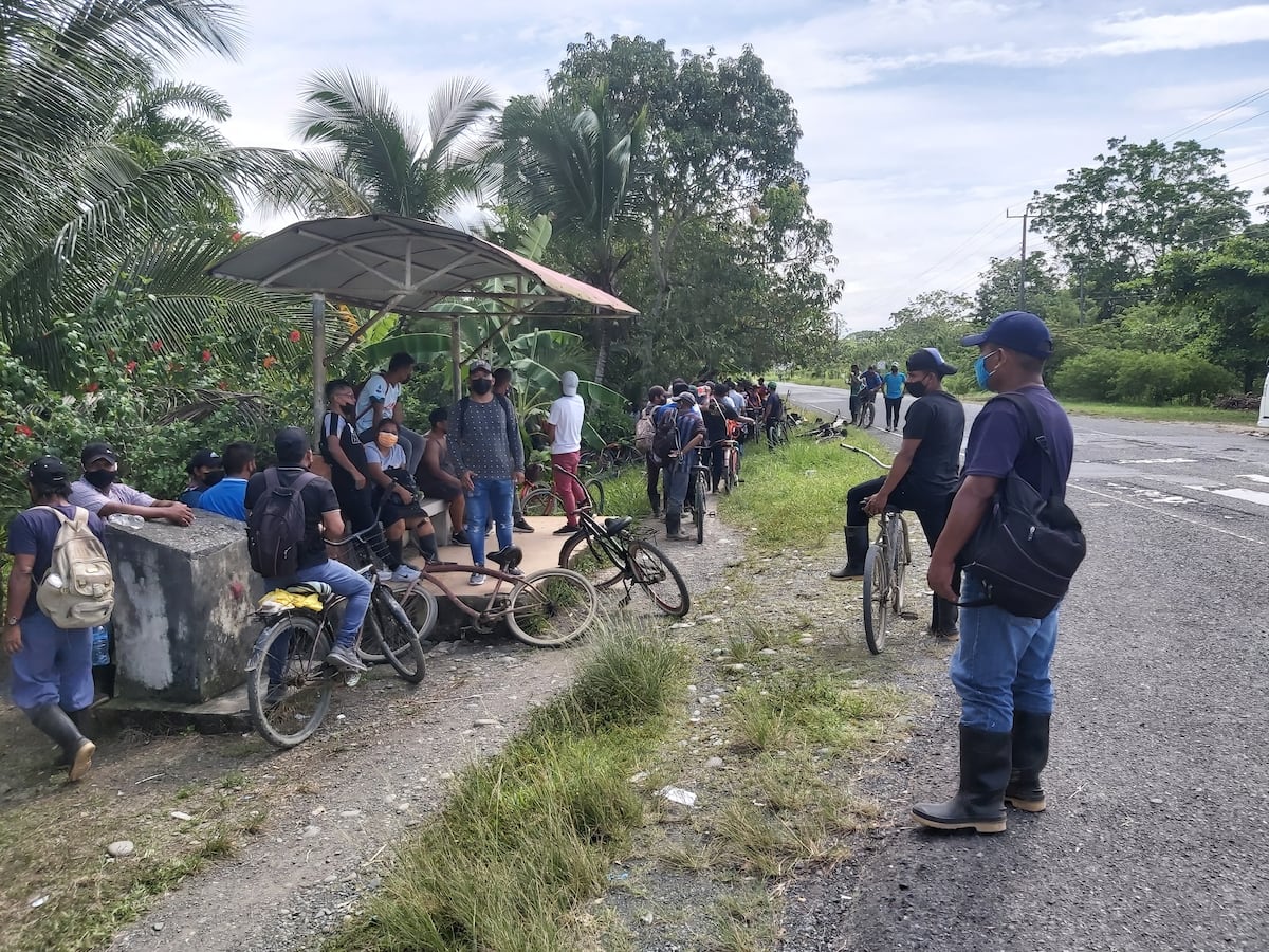 Bananeros logran acuerdo tras tres días de huelga en Bocas del Toro