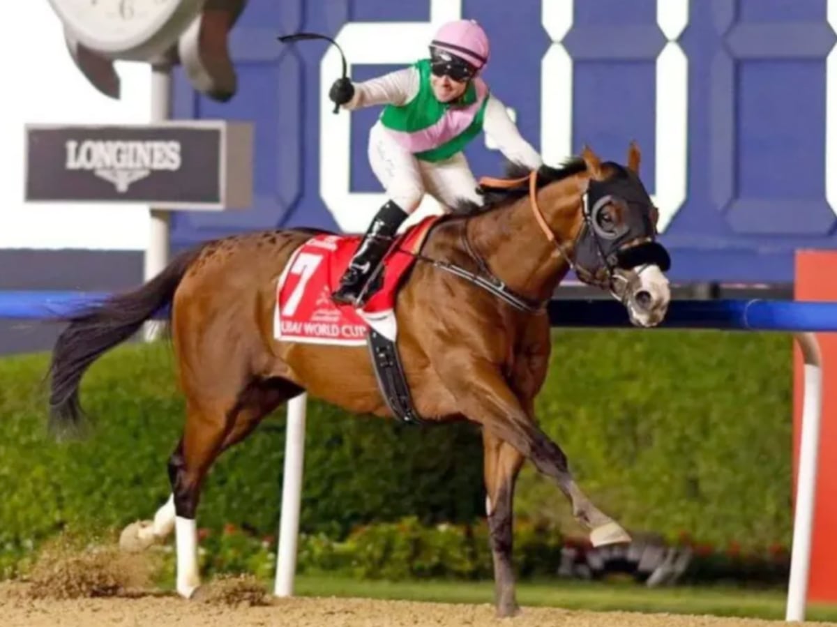 ‘Laurel River’ se fue  punta y punta en Dubai