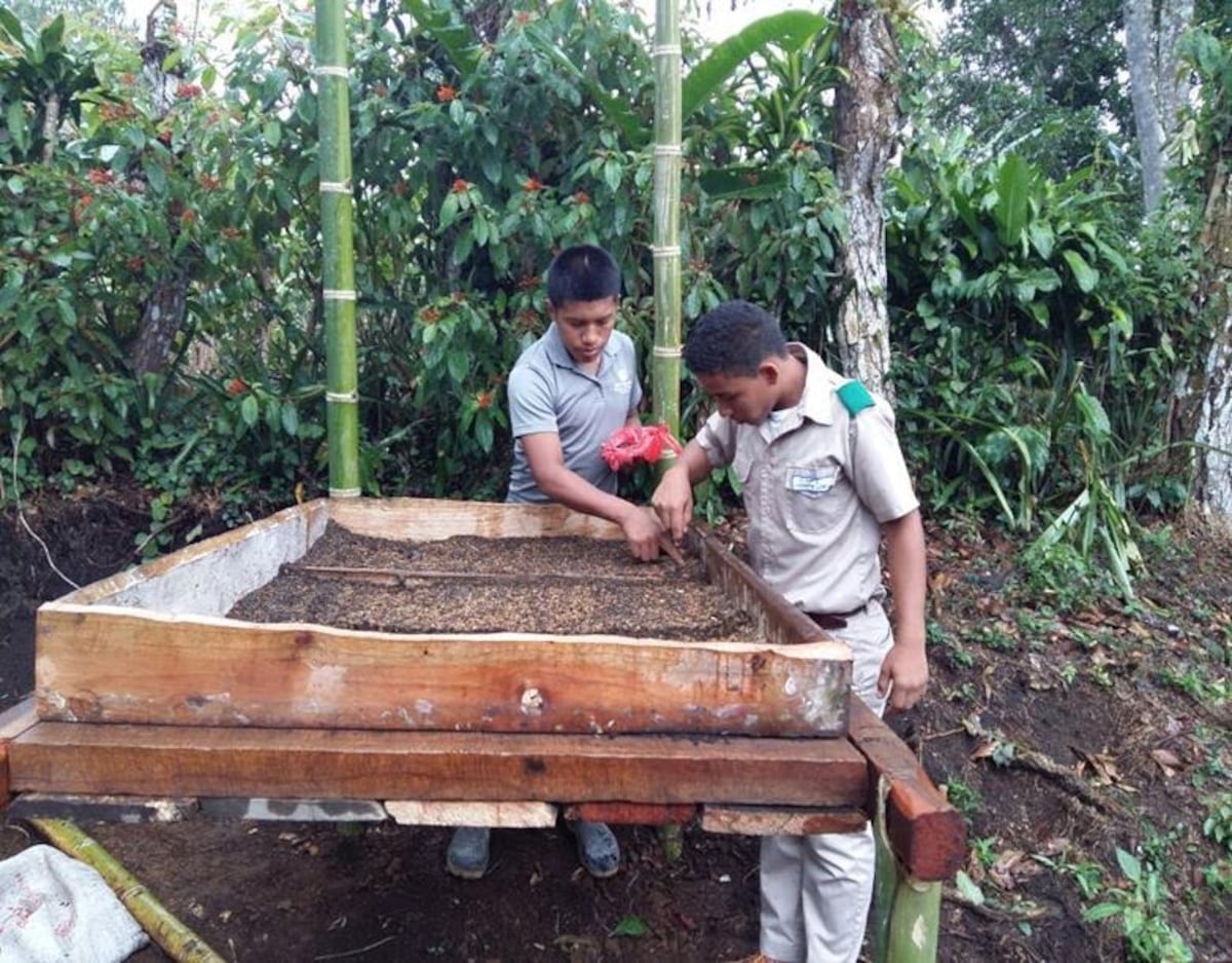 Instituto Agropecuario de Chiriquí representará a Panamá en proyecto Climántica de España