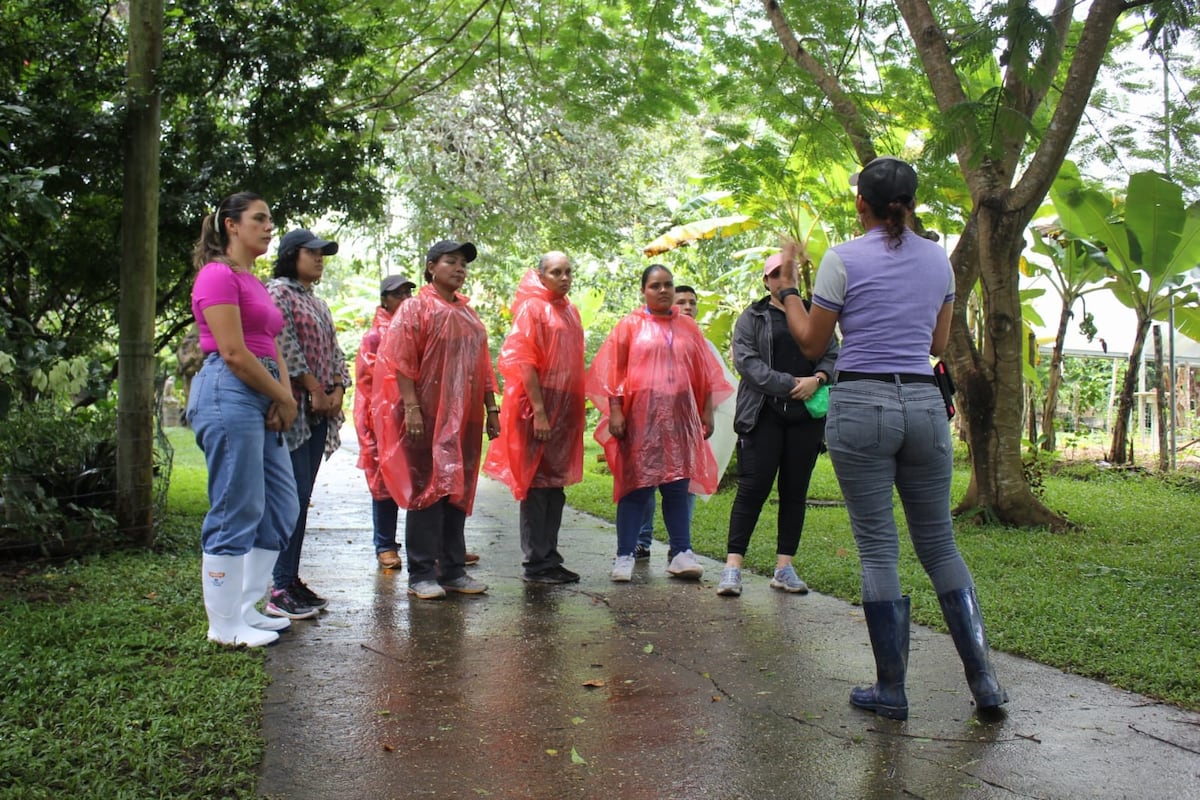 Programa de agroturismo impulsa al campo y posiciona a Panamá como referente regional