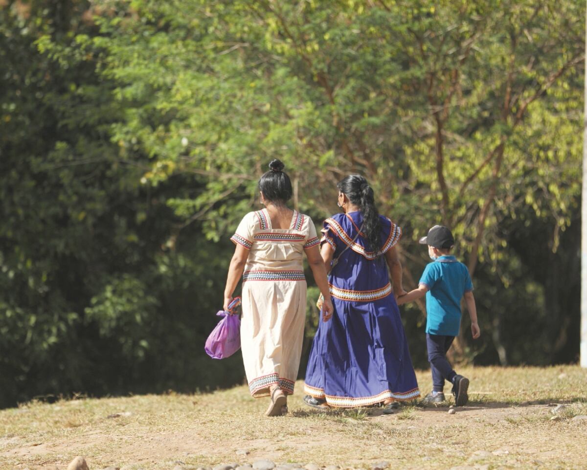 Defensor del Pueblo se traslada a Bocas del Toro para verificar las denuncias de esterilización