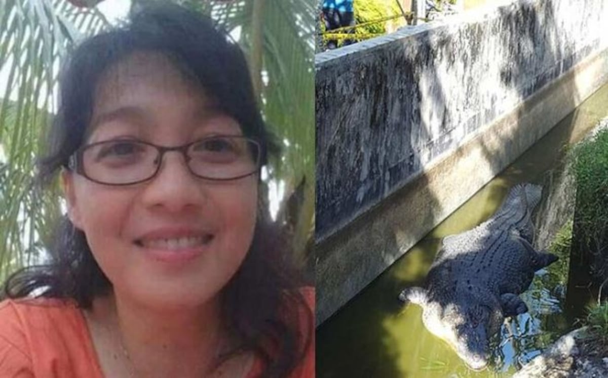 Enorme cocodrilo se come a la científica que lo alimentaba