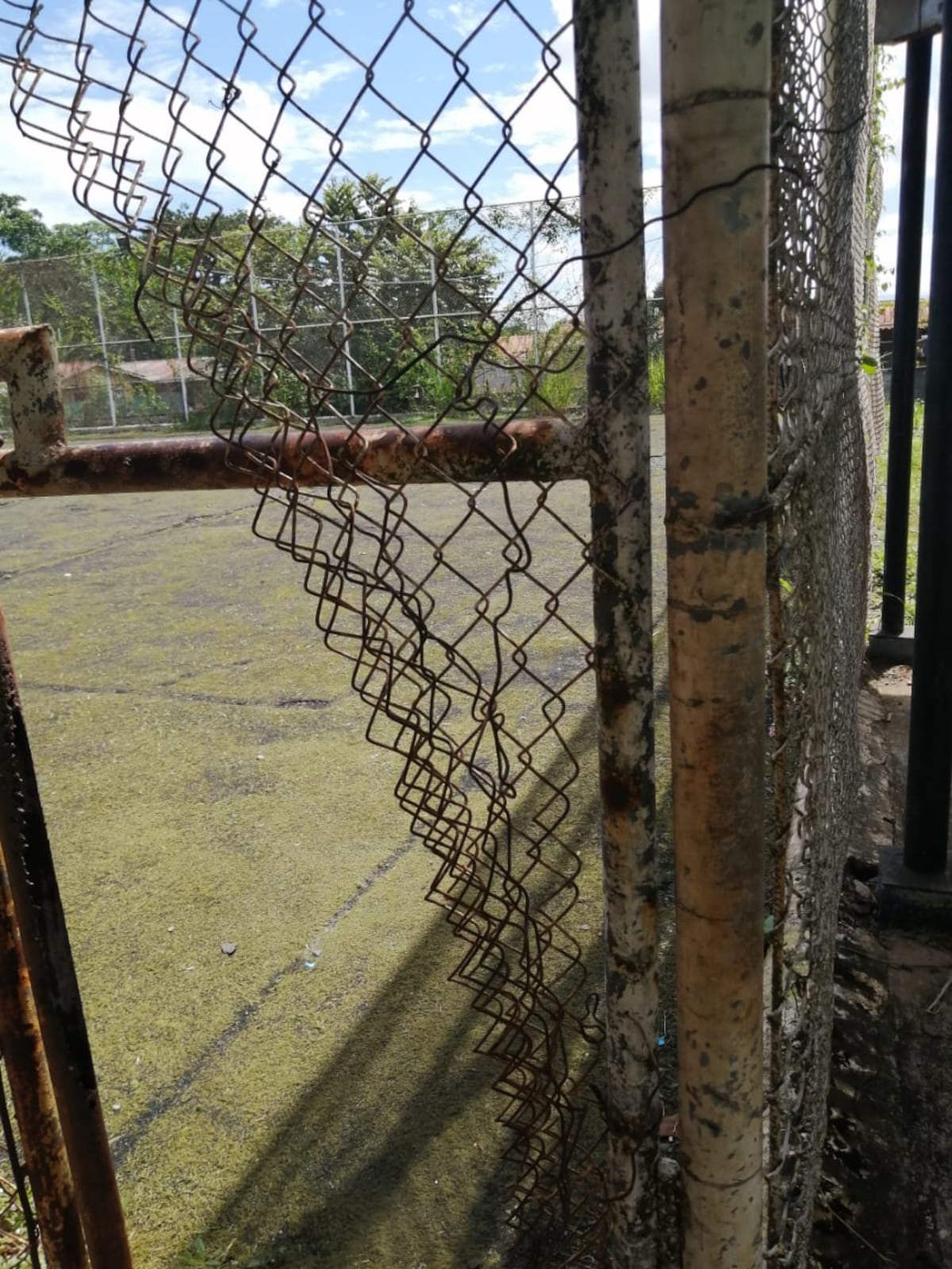 Entre heces de palomas, basura, mal olor y el mal estado de las infraestructuras,  estudiantes de la escuela de Cerro Tigre reciben clases