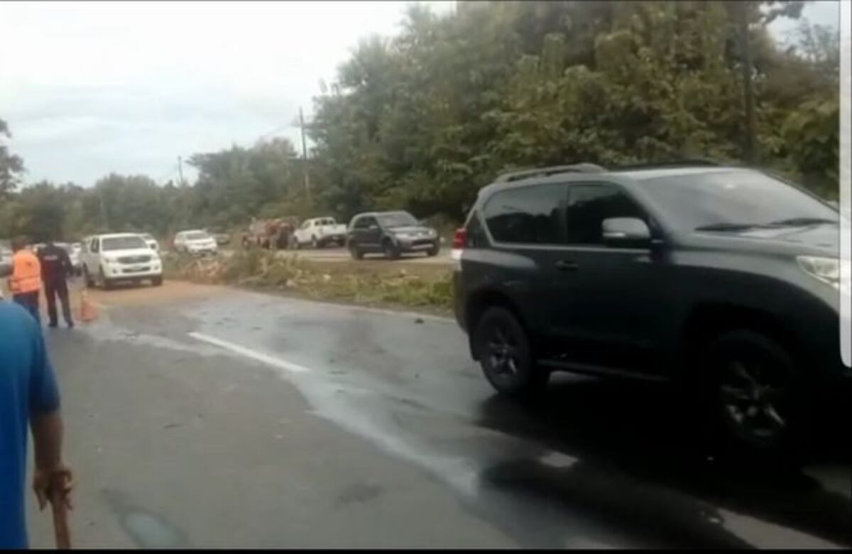 Árbol de gran tamaño colapsa en la vía Interamericana. El tranque fue descomunal