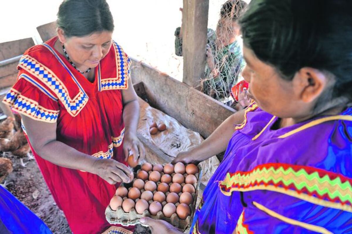 ¡ECHÁS PA'LANTE! Así son las mujeres Ngäbe Buglé en Boca de Remedio