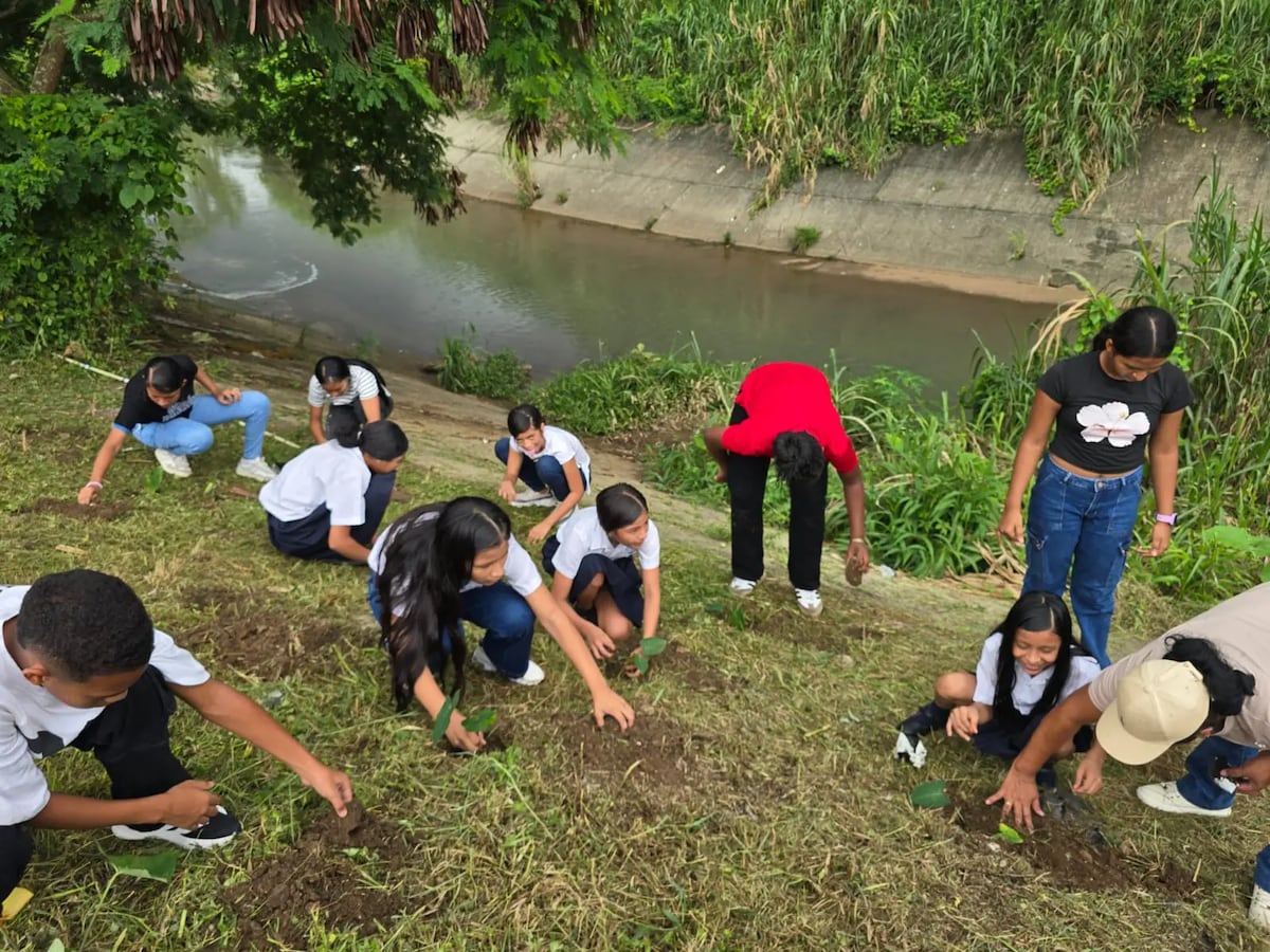 El Río Vive impulsa rescate de ríos en Panamá