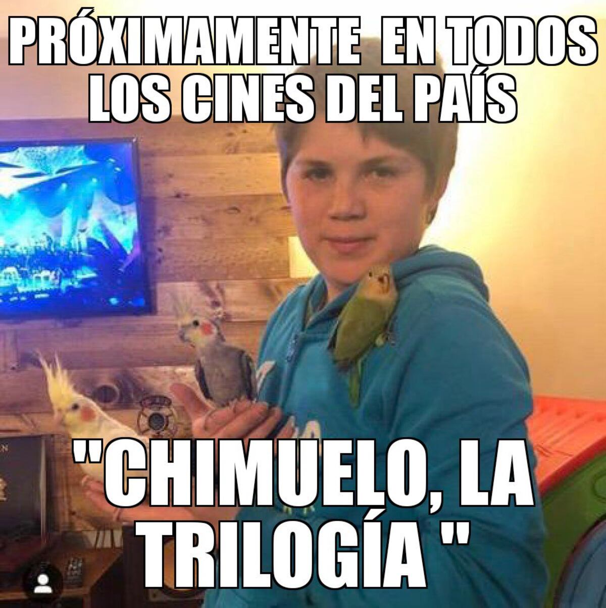 Chimuelo es el video viral que ha provocado la respuesta hasta de Netflix