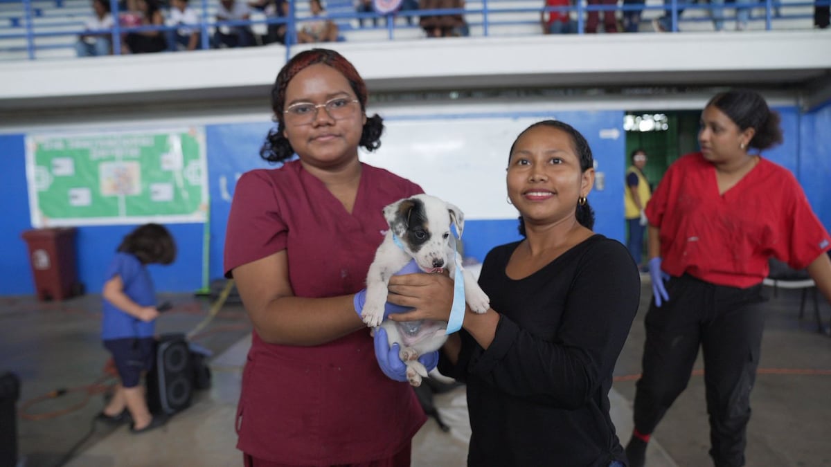 Familias de Coclé celebran jornadas gratuitas de Misión Patitas