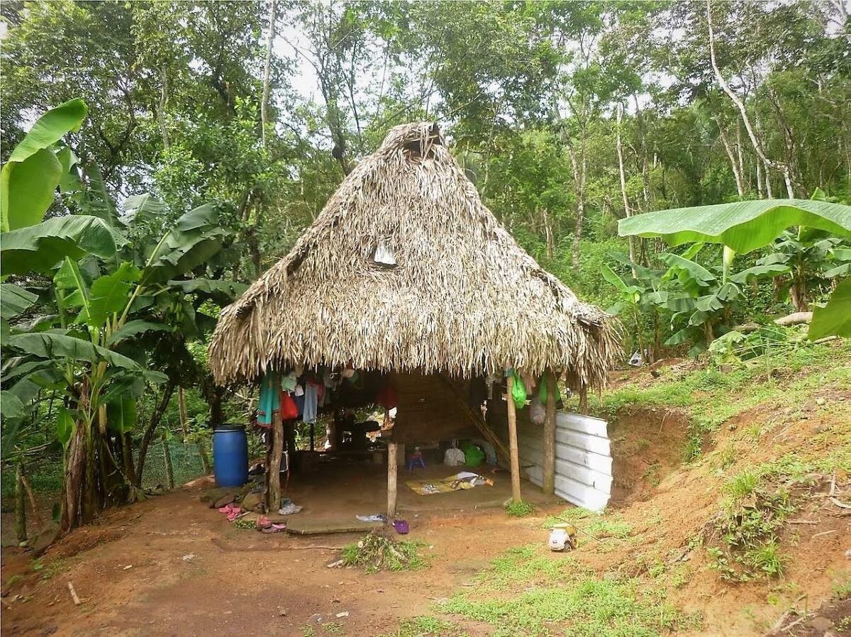 Un Hogar para Sanar: Miviot Apoya a Familia Tras Tragedia