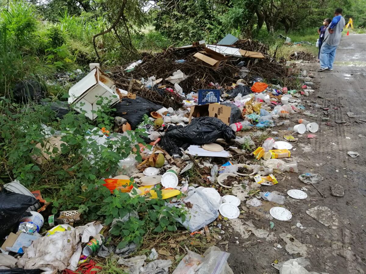 Alcaldía de Chame sancionará a los cochinos