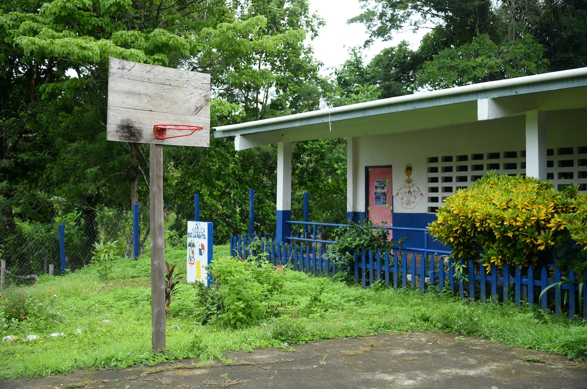En el corregimiento de El Llano de Chepo claman por una carretera para comercializar sus productos. Video